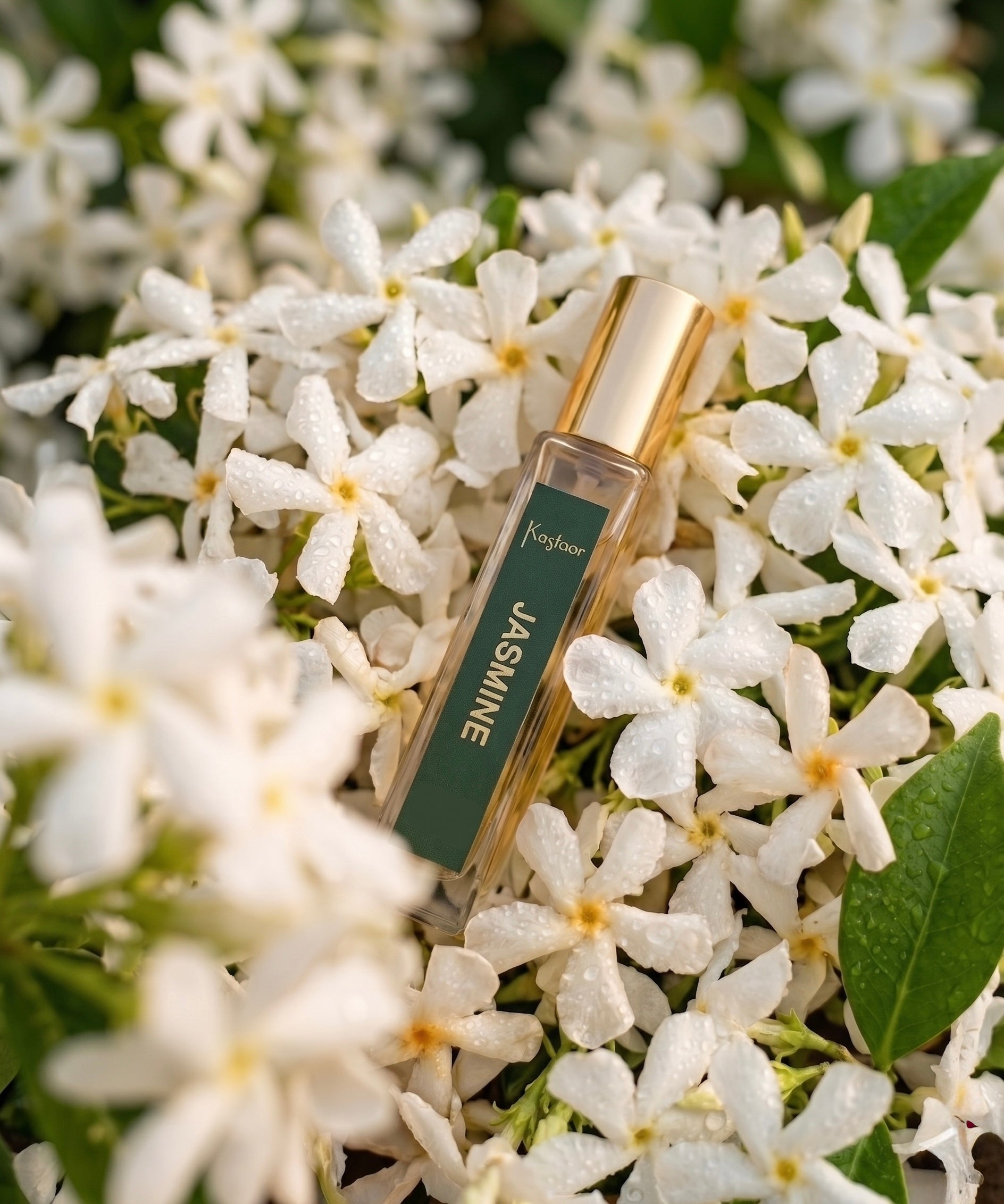 Jasmine Parfum (10ml)